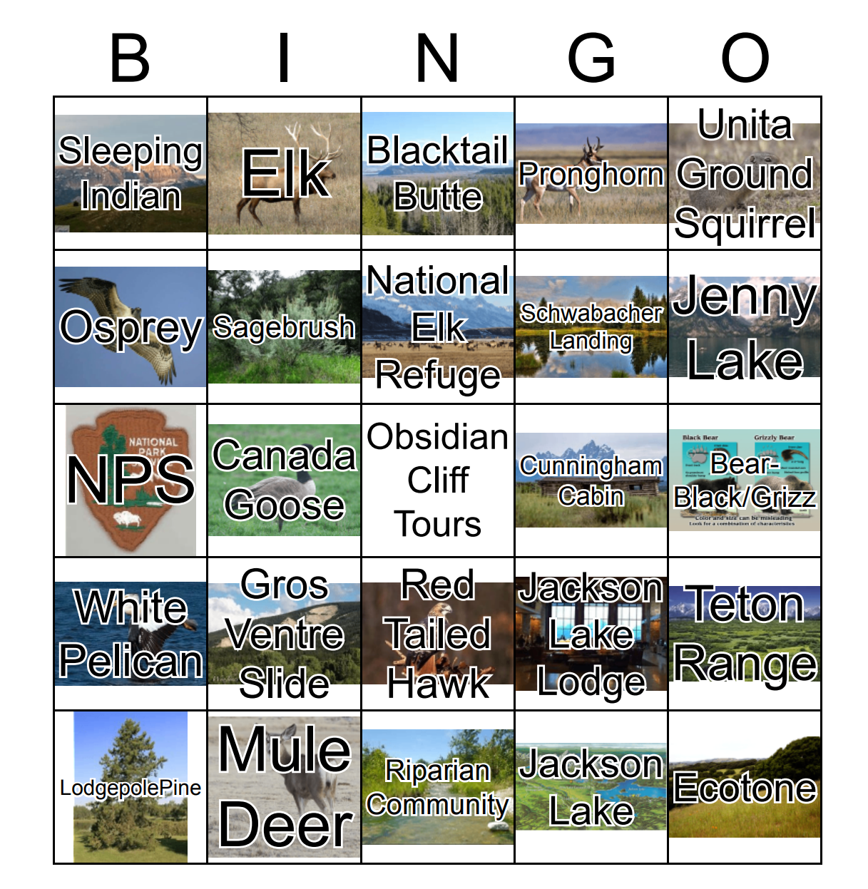 Bingo cards added