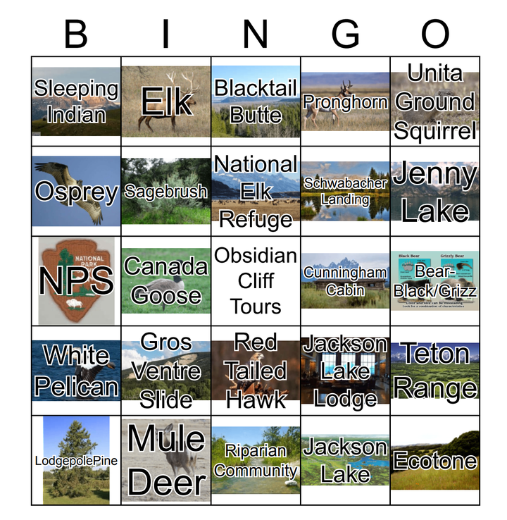 Bingo cards added